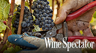 Wine Spectator Harvest report